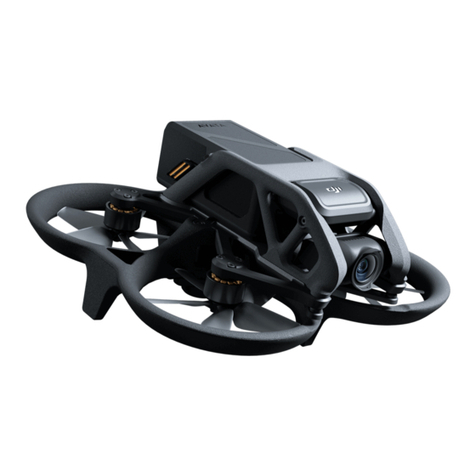 dji AVATA Manual de usuario