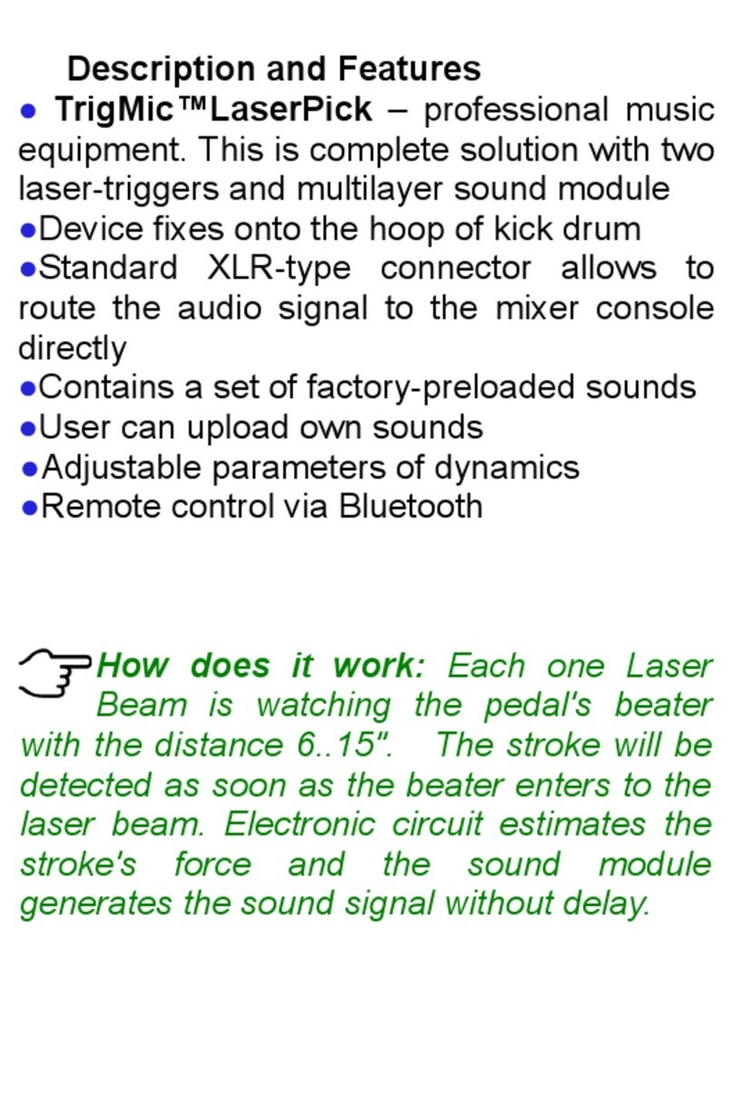 TrigMic LaserDick Manual de usuario