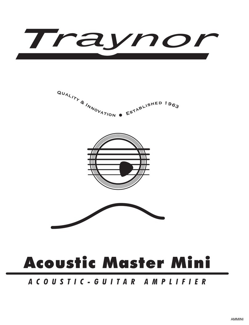 Traynor Acoustic Master Mini Manual de usuario