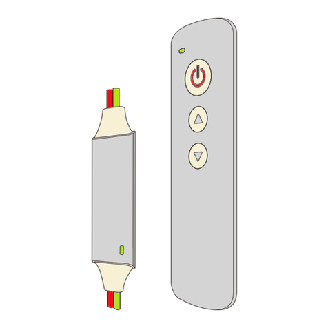 Rayrun P12 Manual de usuario