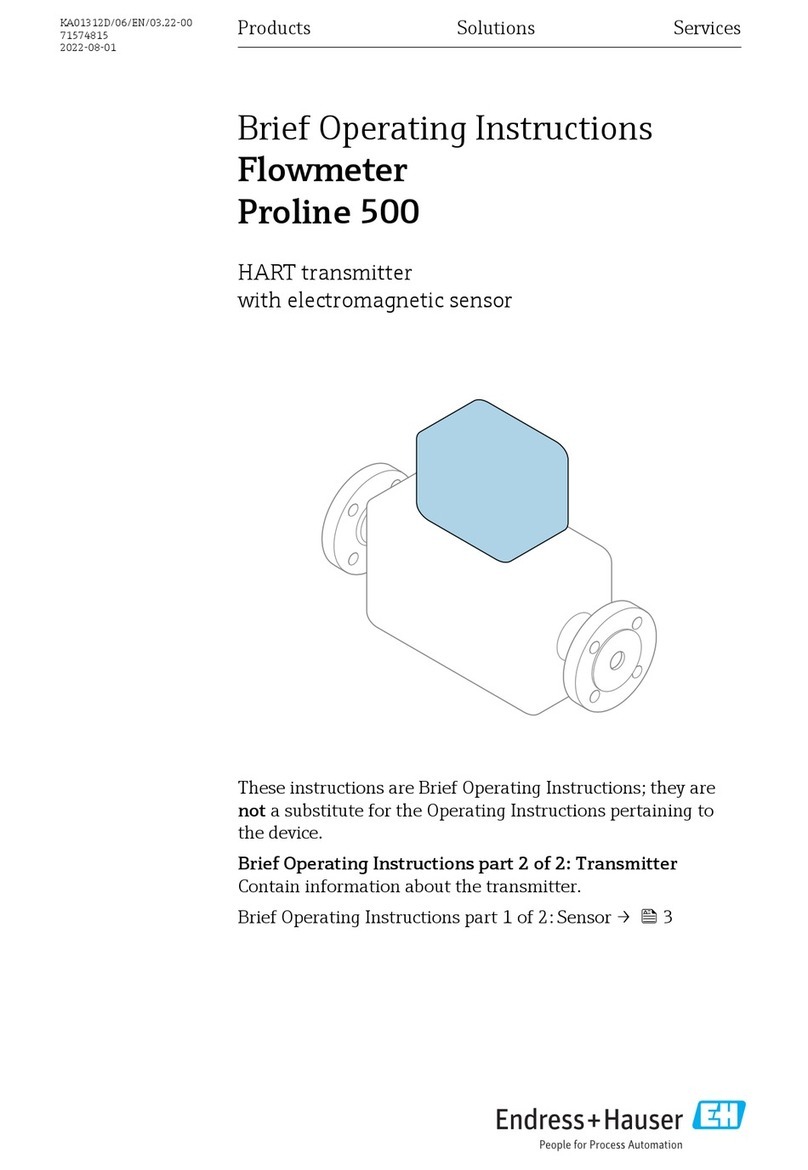 Endress+Hauser Flowmeter Proline 500 Especificaciones técnicas Endress+Hauser Flowmeter Proline 500 Especificaciones técnicas