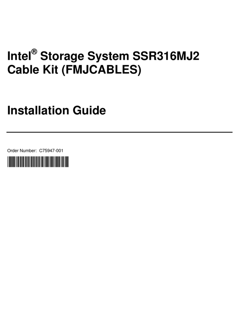Intel SSR316MJ2 Manual de usuario
