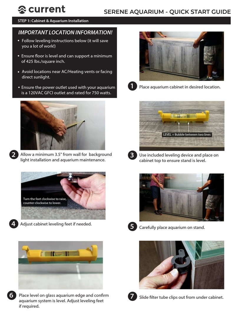 Current SERENE 13G Manual de usuario