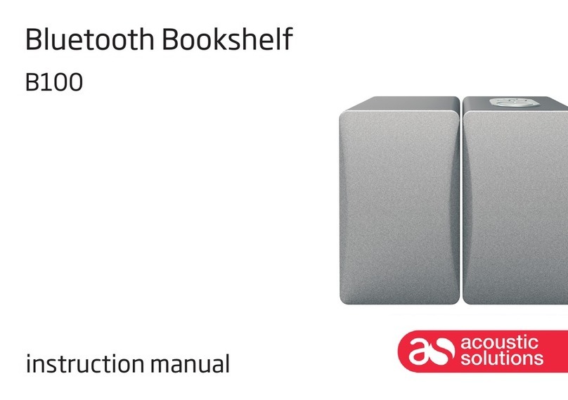 ACOUSTIC SOLUTIONS B100 Manual de usuario