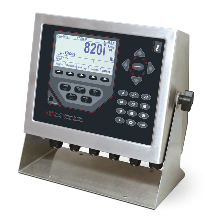 Rice Lake iRite 920i Manual de usuario