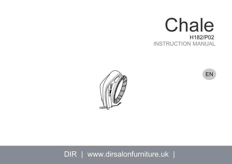 DIR Chale P02 Manual de usuario DIR Chale P02 Manual de usuario