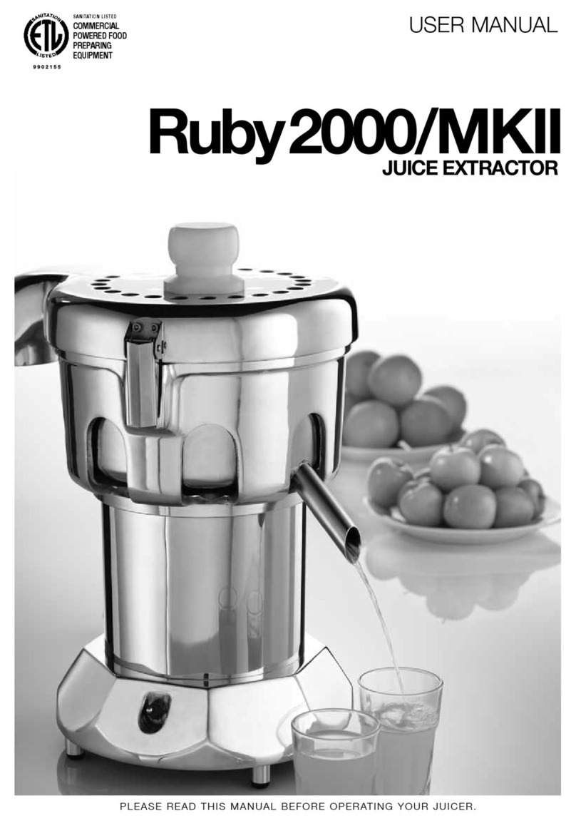 Ruby Tech 2000/MKII Manual de usuario