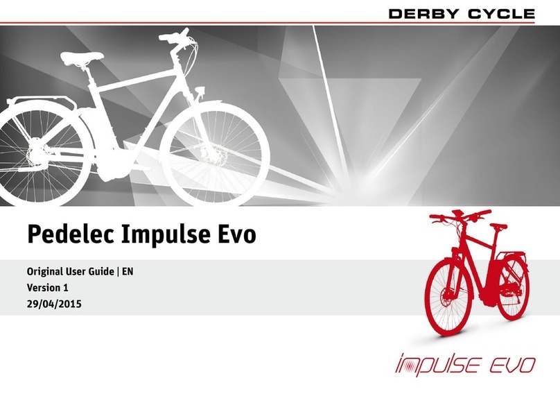 Derby cycle Pedelec Impulse Evo Manual de usuario
