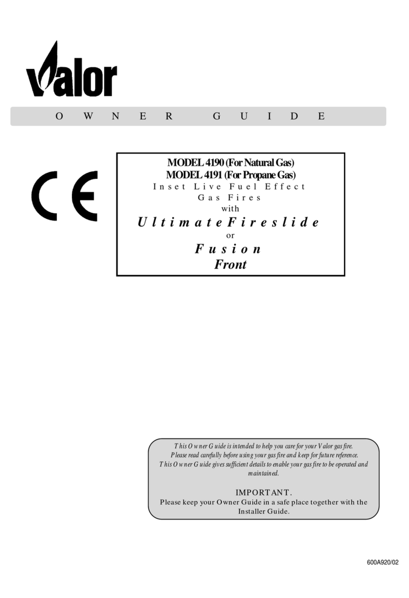 Valor 4191 Manual de usuario