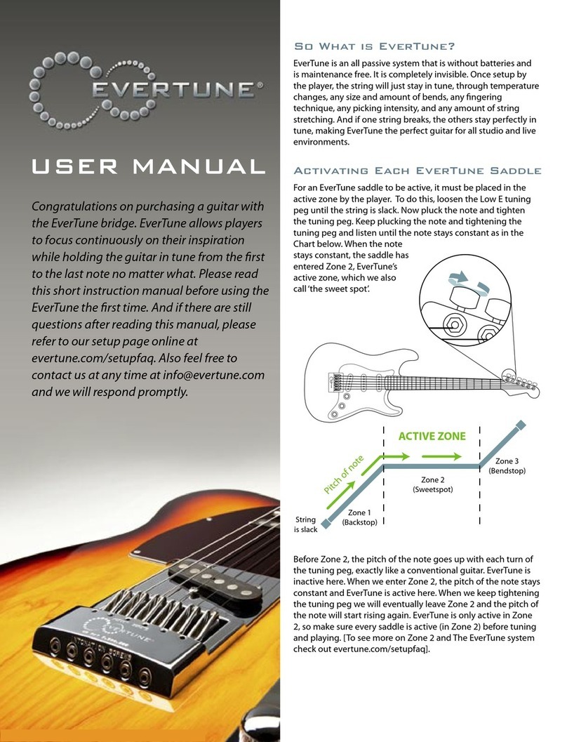 Evertune Guitar device Manual de usuario