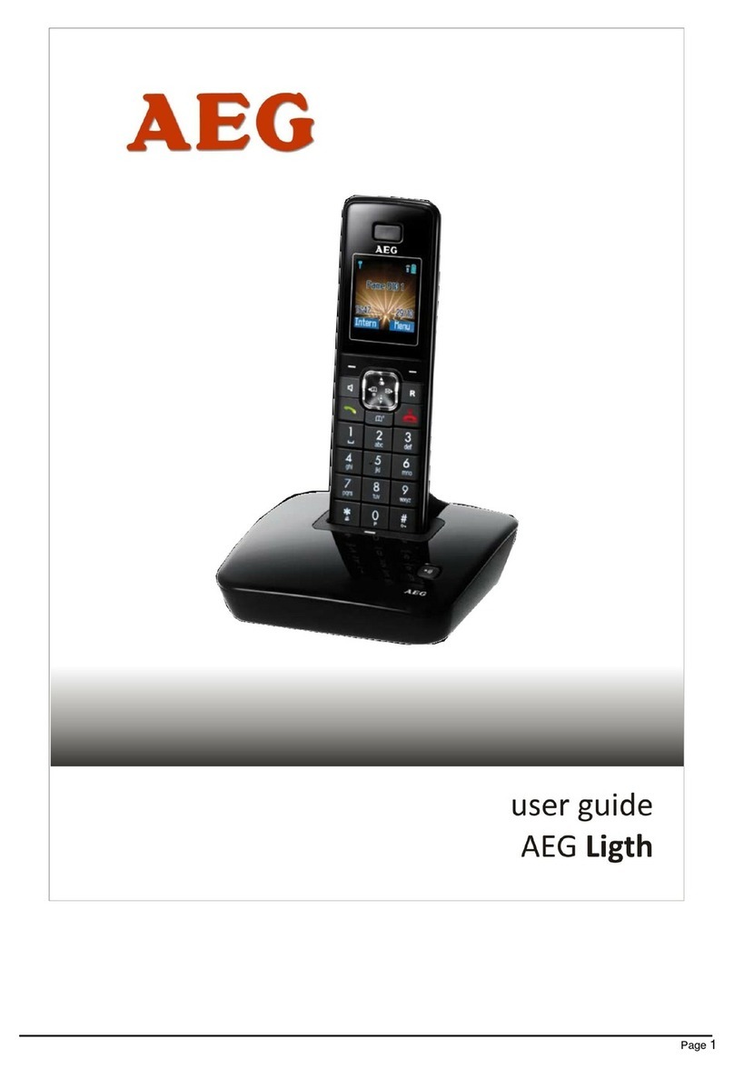 AEG Light Manual de usuario