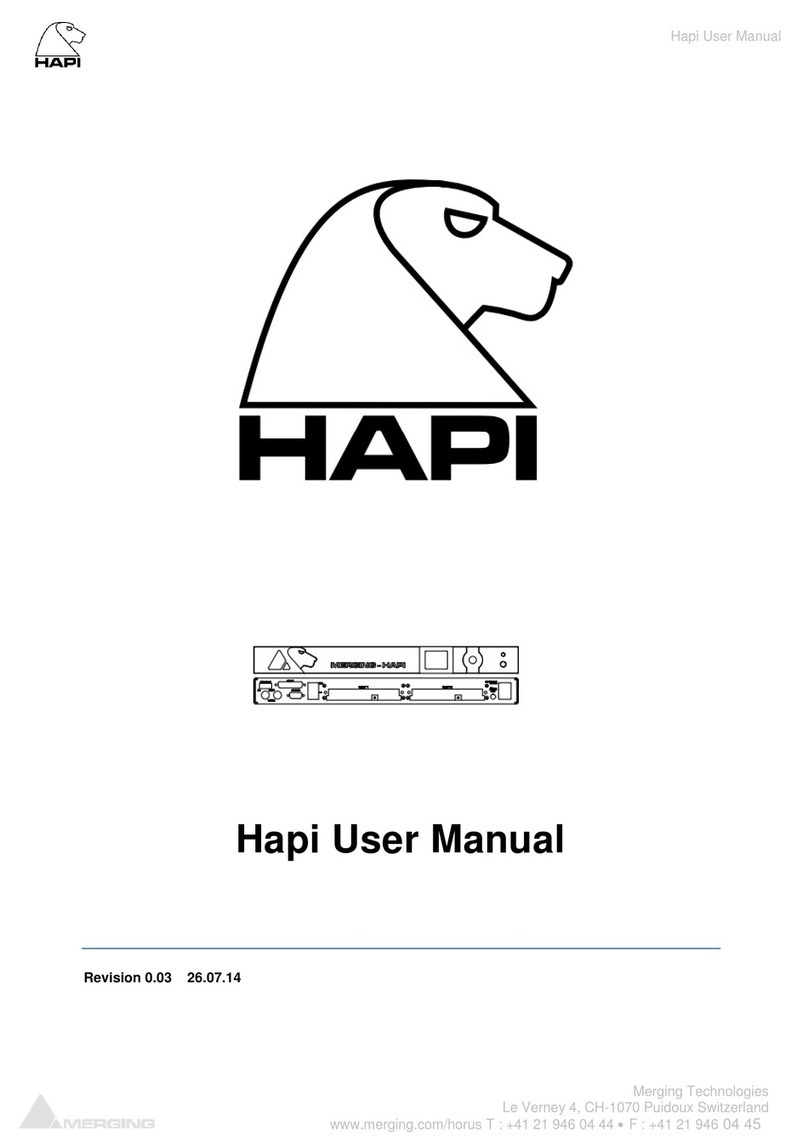 Merging Hapi Manual de usuario