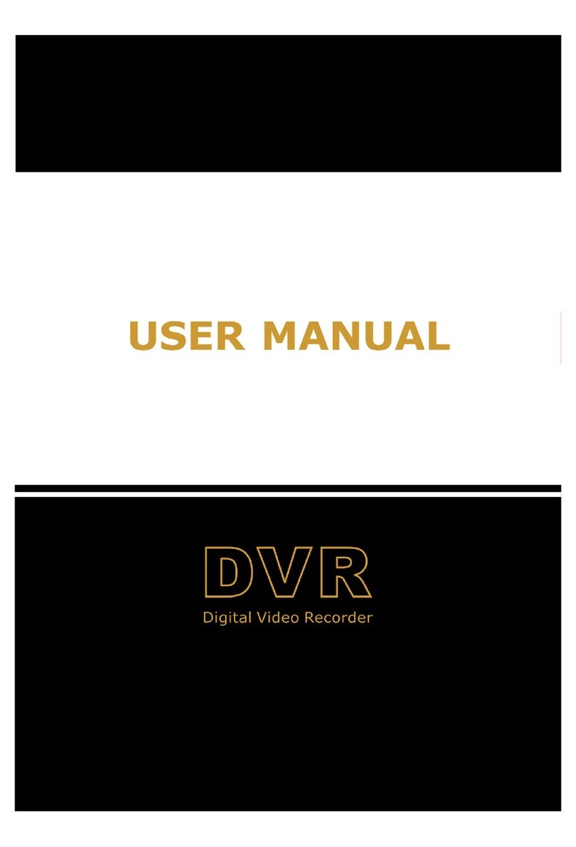 Safe N Secure dvr4004 Manual de usuario
