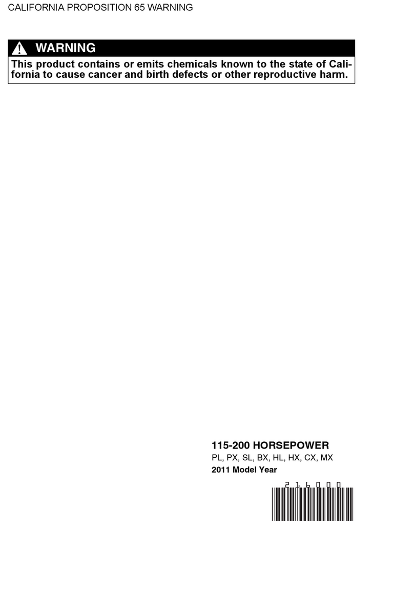 BRP Evinrude E15D Manual