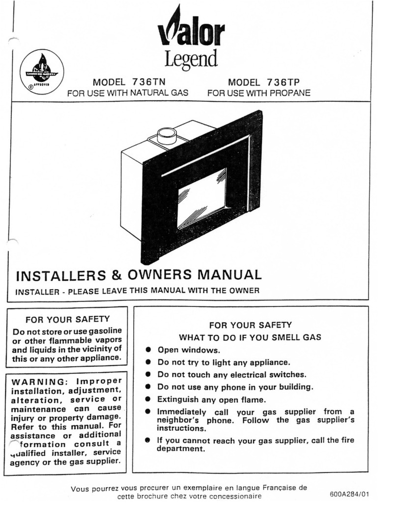 Valor 736TN Manual de usuario