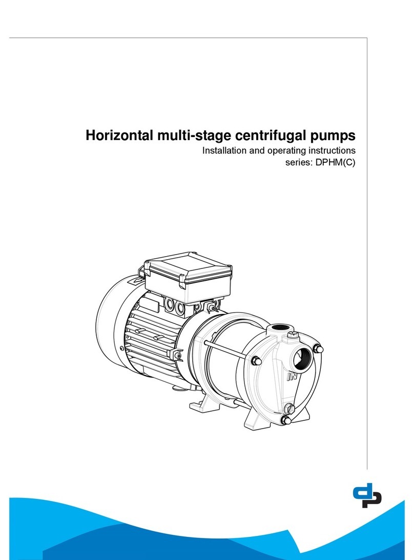 DP DPHM Manual de usuario