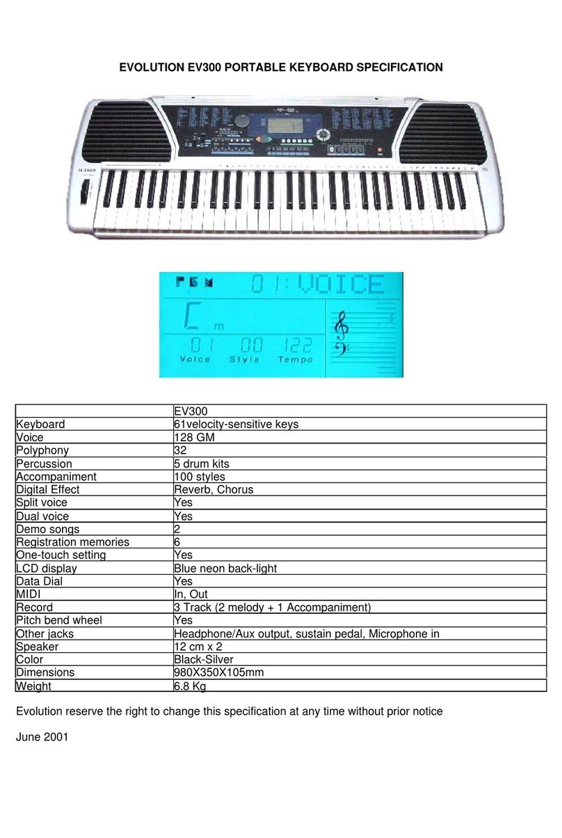 Evolution EV300 Manual de usuario