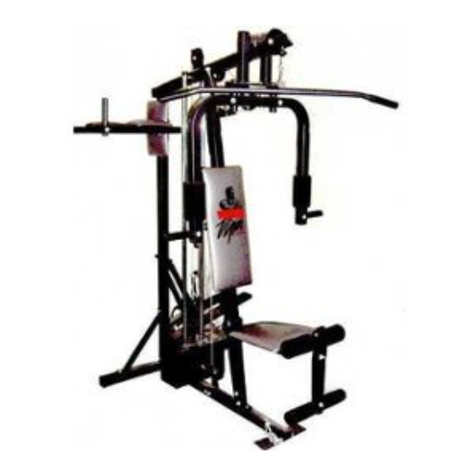 Weider Viper 2000 Manual de usuario