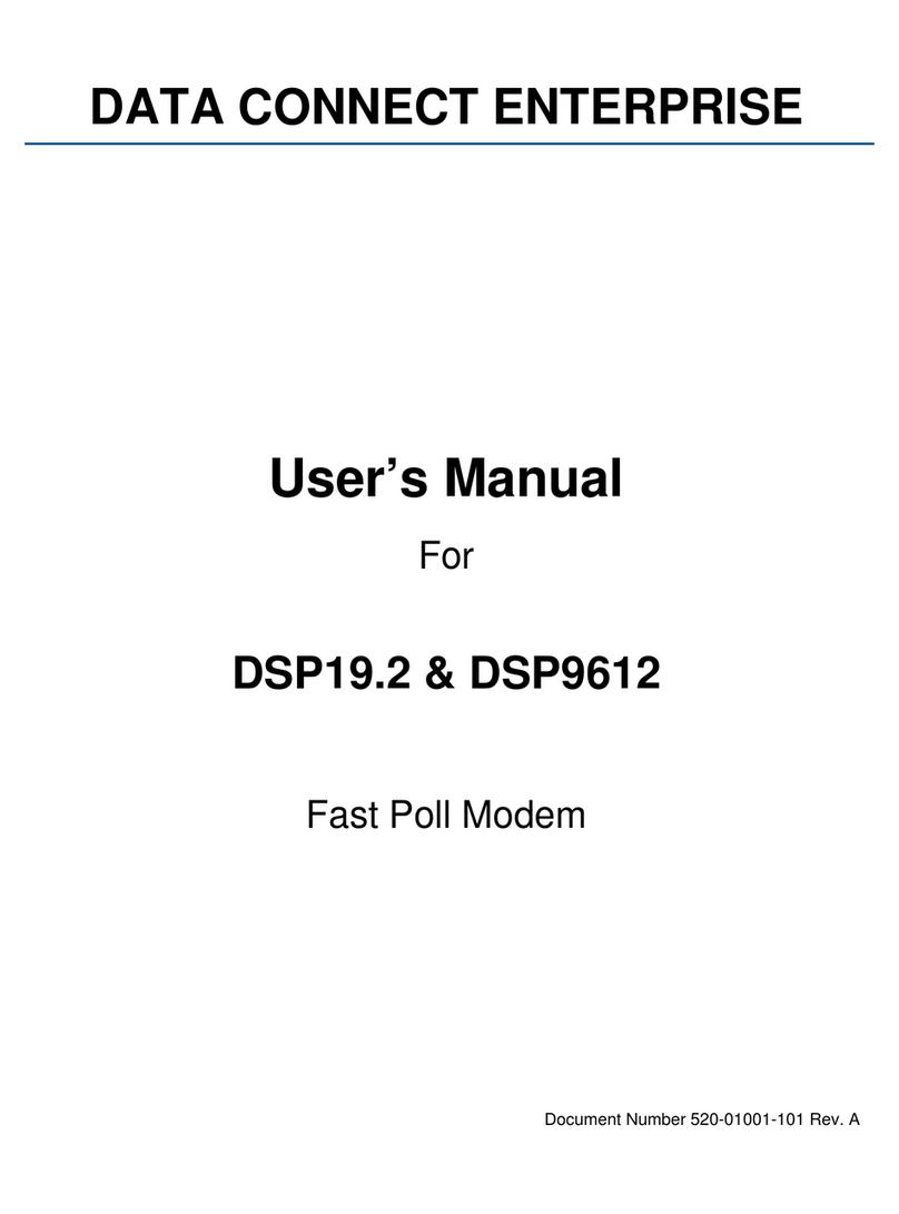 Data Connect DSP19.2 Manual de usuario
