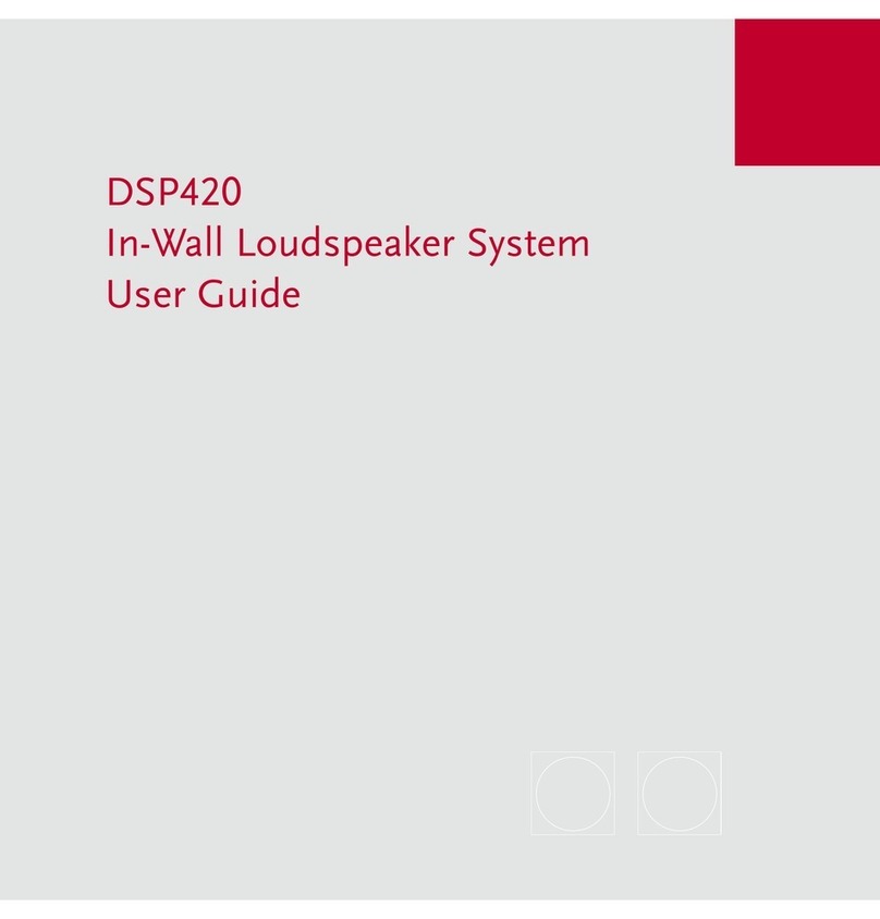 Meridian DSP420 Manual de usuario