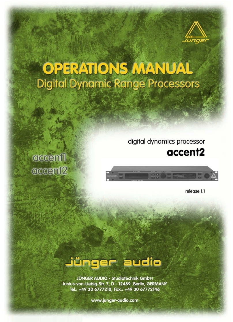 junger Accent1 Manual de usuario