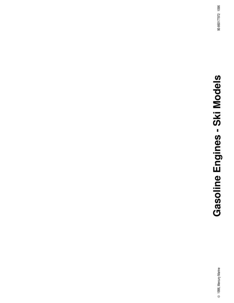 Mercury SKI Manual de usuario