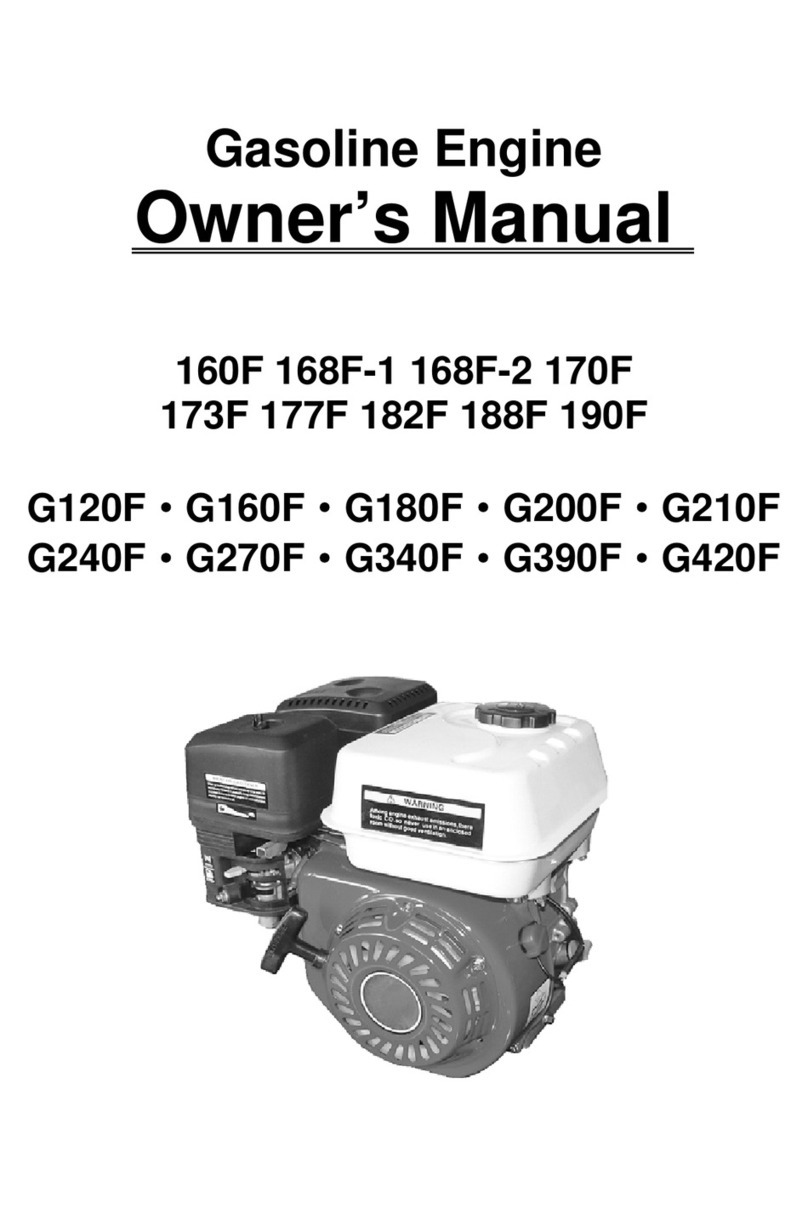 PTM Engines 160F Manual de usuario