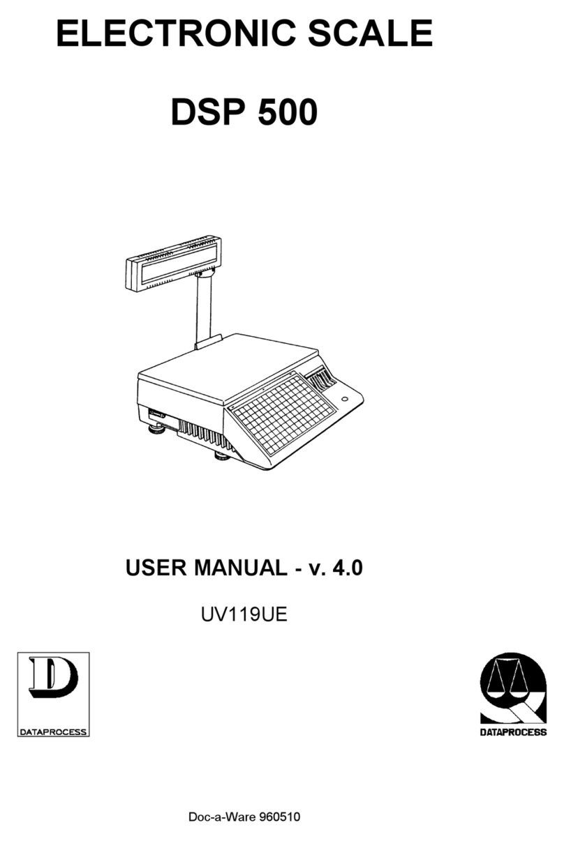 DATAPROCESS DSP 500 Manual de usuario