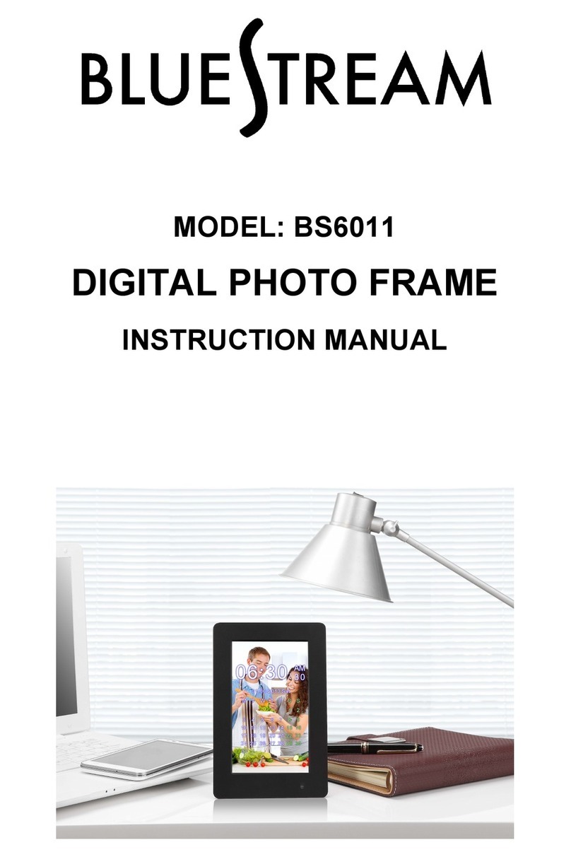 Bluestream BS6011 Manual de usuario Bluestream BS6011 Manual de usuario