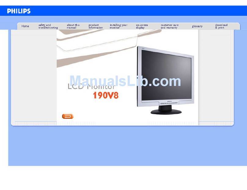 Philips 190V8FB Manual de usuario