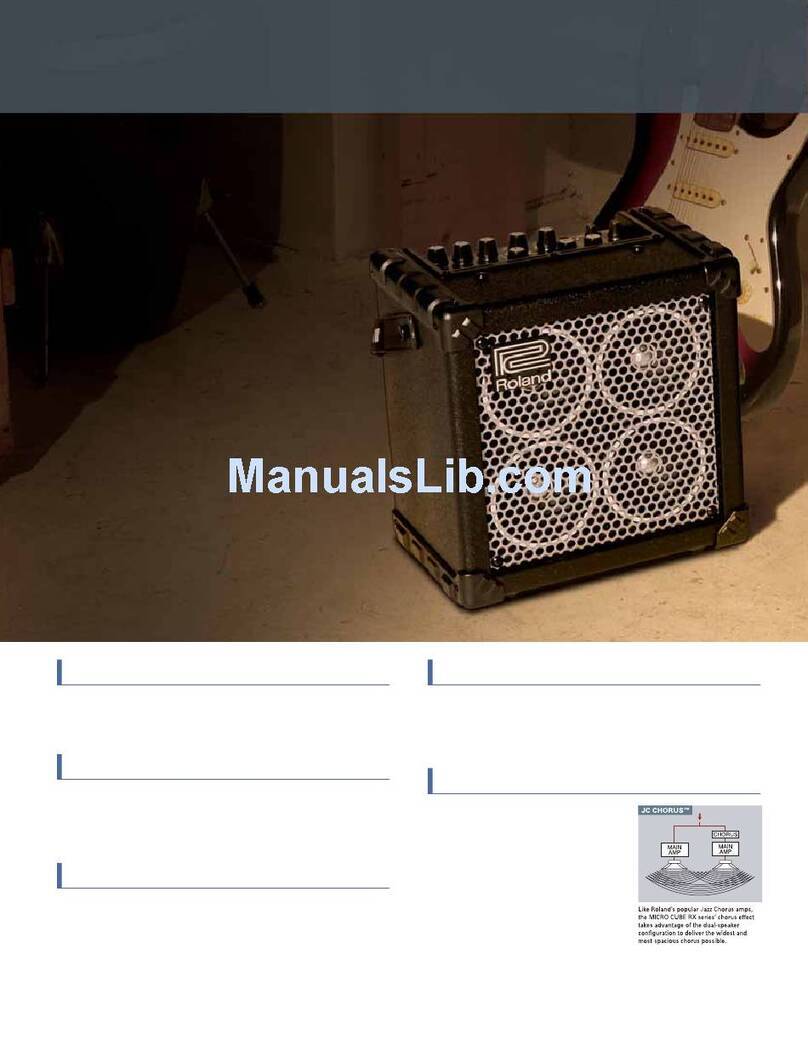 Roland Micro Cube Bass RX Manual de usuario