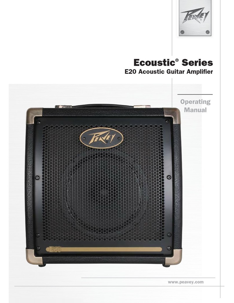 Peavey Ecoustic E20 Manual de usuario Peavey Ecoustic E20 Manual de usuario