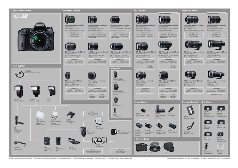 Olympus E-30 Manual de usuario Olympus E-30 Manual de usuario