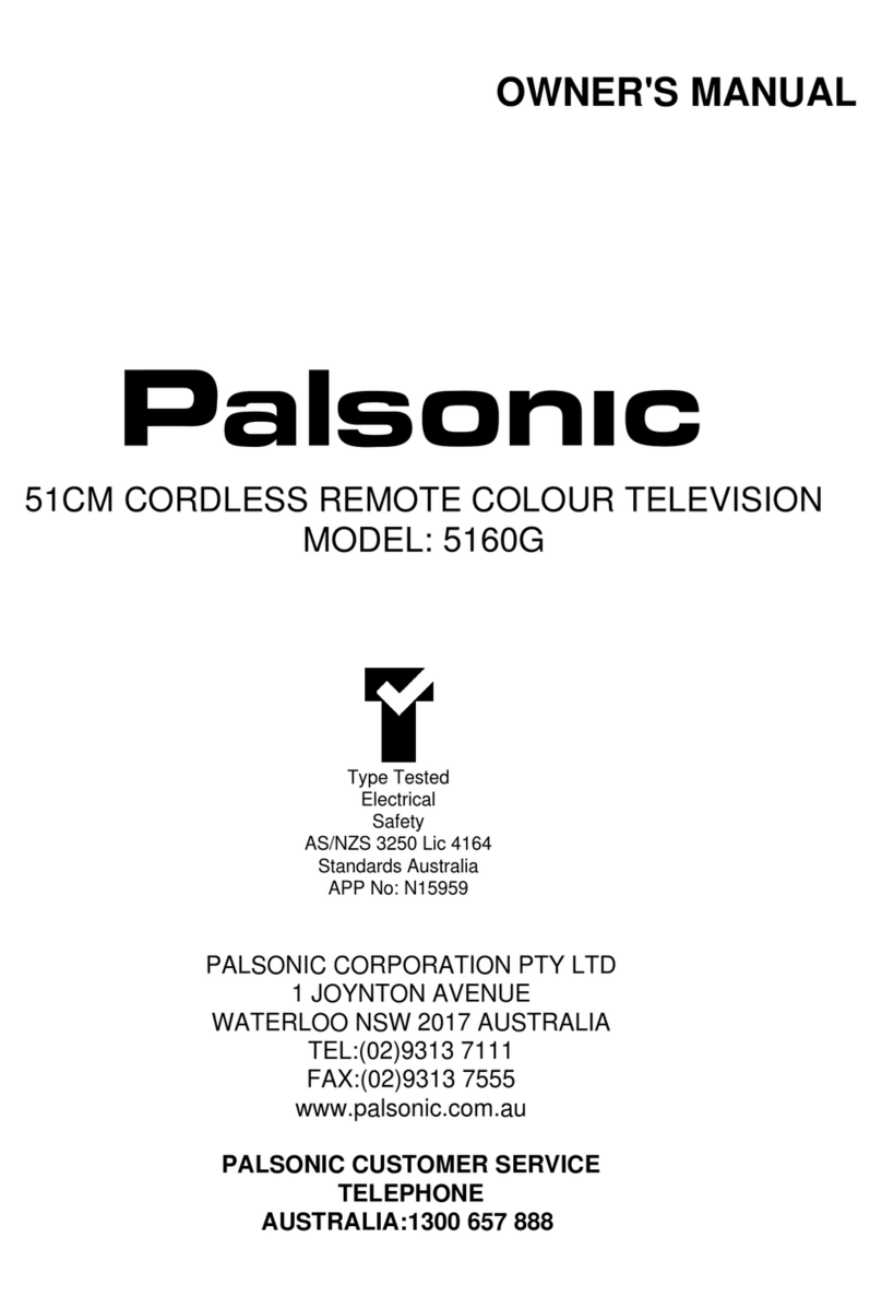 Palsonic MODEL 5160G Manual de usuario