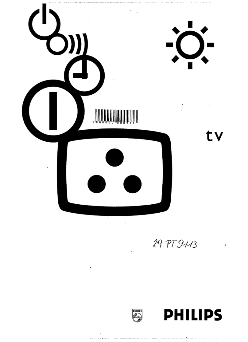 Philips 29PT9113 - annexe 1 Manual de usuario