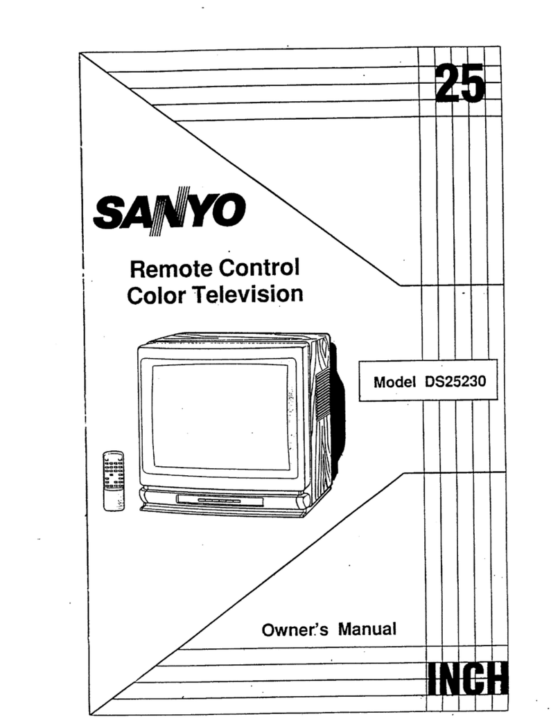 Sanyo DS25230 Manual de usuario