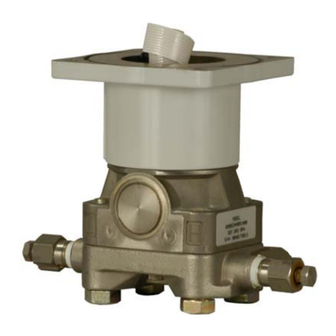 Emerson DVS205 Manual de usuario