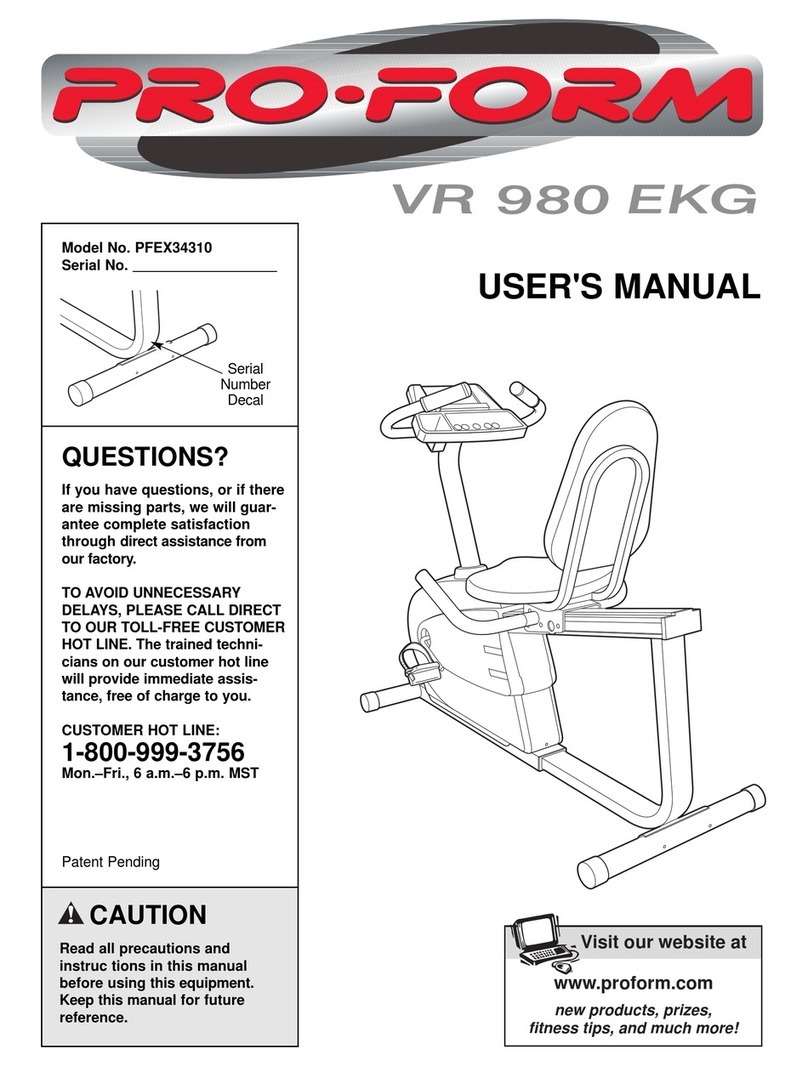 Pro-Form PFEX34310 Manual de usuario