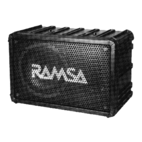Panasonic Ramsa WS-A80 Manual de usuario