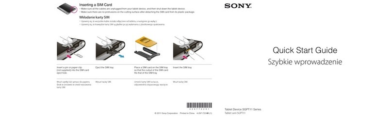 Sony SGPT113PL/S Manual de usuario