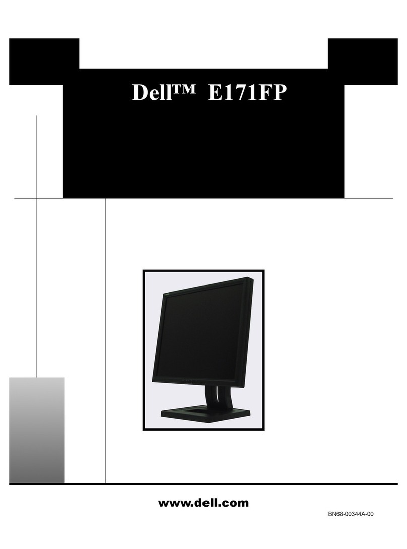 Dell E171FP Manual de usuario