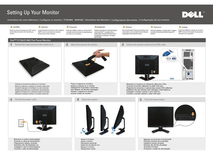 Dell E170S - 17" LCD Monitor Manual de usuario