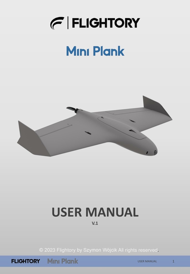FLIGHTORY Mini Plank Manual de usuario