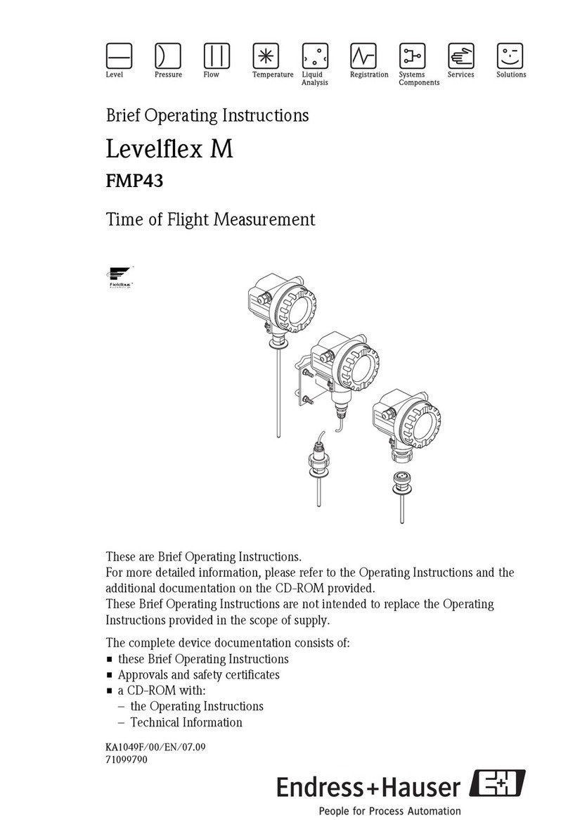 Endress+Hauser Levelflex M Especificaciones técnicas