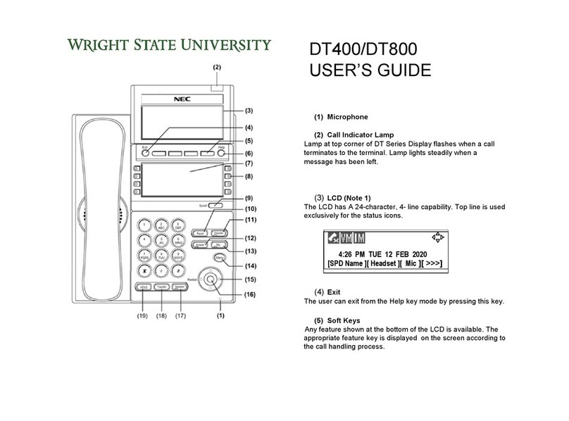 NEC DT400 Manual de usuario