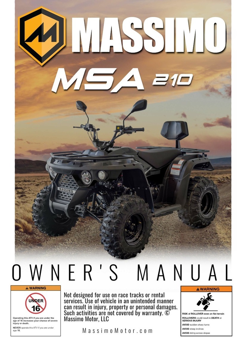 Massimo MSA 210 Manual de usuario