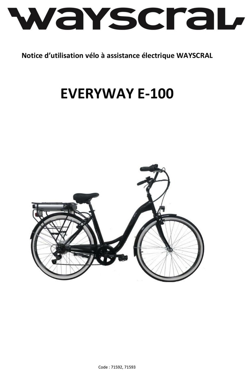 wayscral EVERYWAY E-100 Manual de usuario