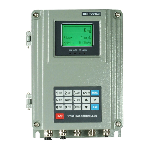 Supmeter BST100-E11 Manual de usuario