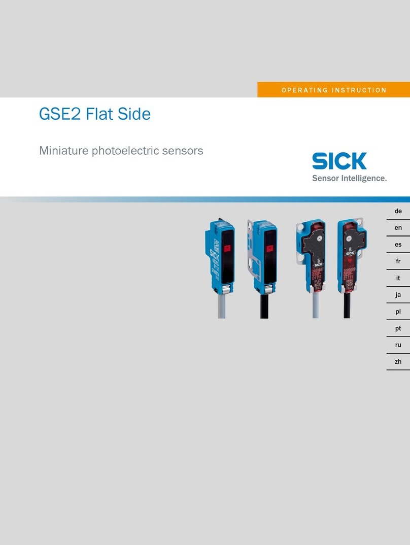 SICK GSE2 Flat Side Manual de usuario