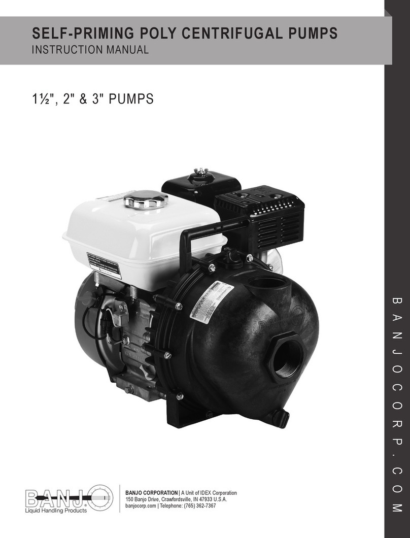 Banjo 200P6PROE Manual de usuario